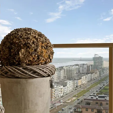Zilt 15 Oostende